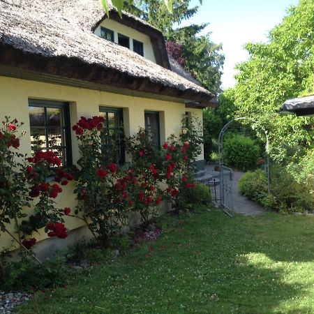 Apartamento Urlaub Unter Reet Bergen Auf Rugen Exterior foto